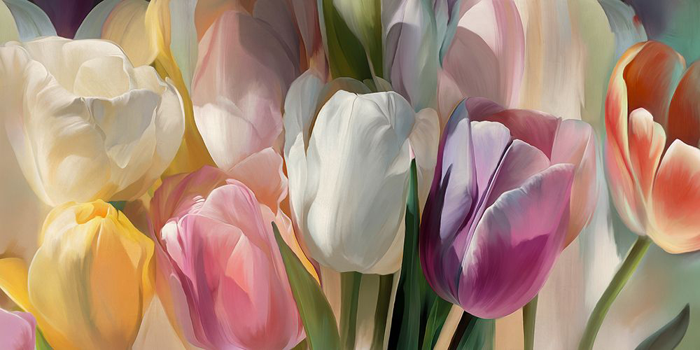 Soft Tulips