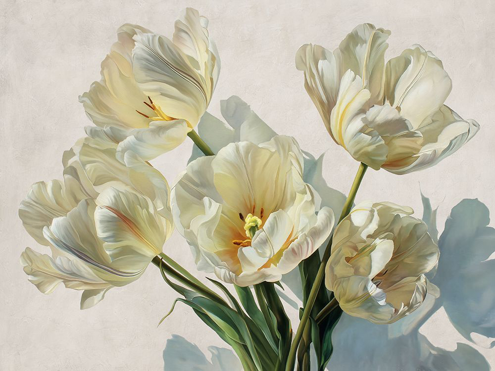 Tulips in the Sunlight
